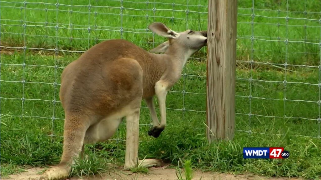 Discover Delmarva: Coastal Wilds
