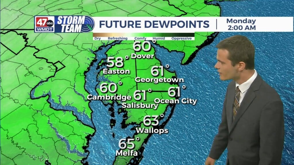 Overnight Forecast (08/11/24)