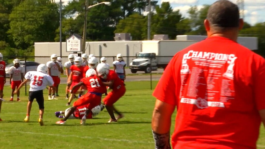 Laurel Preview