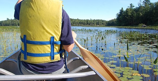 640px Aquatic Plants 2013 Outdoor Photography 25662617010