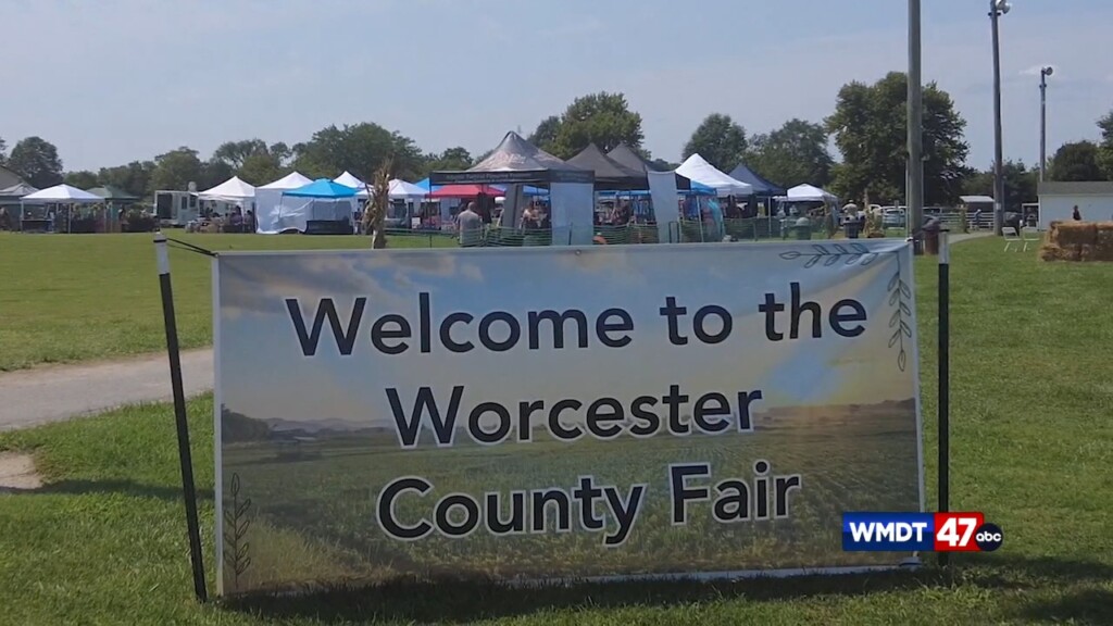Worcester County Fair Recap