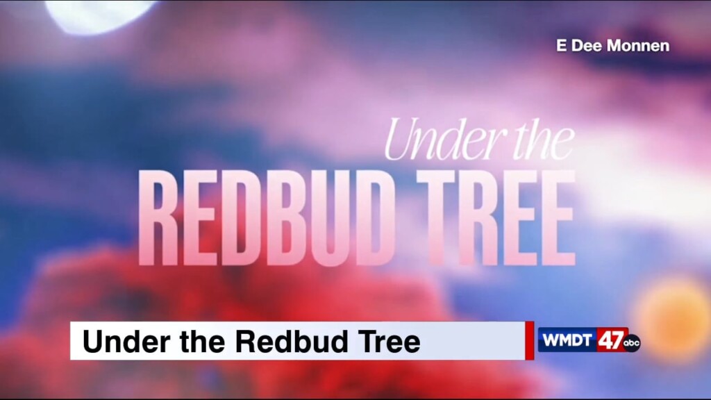 Under The Redbud Tree