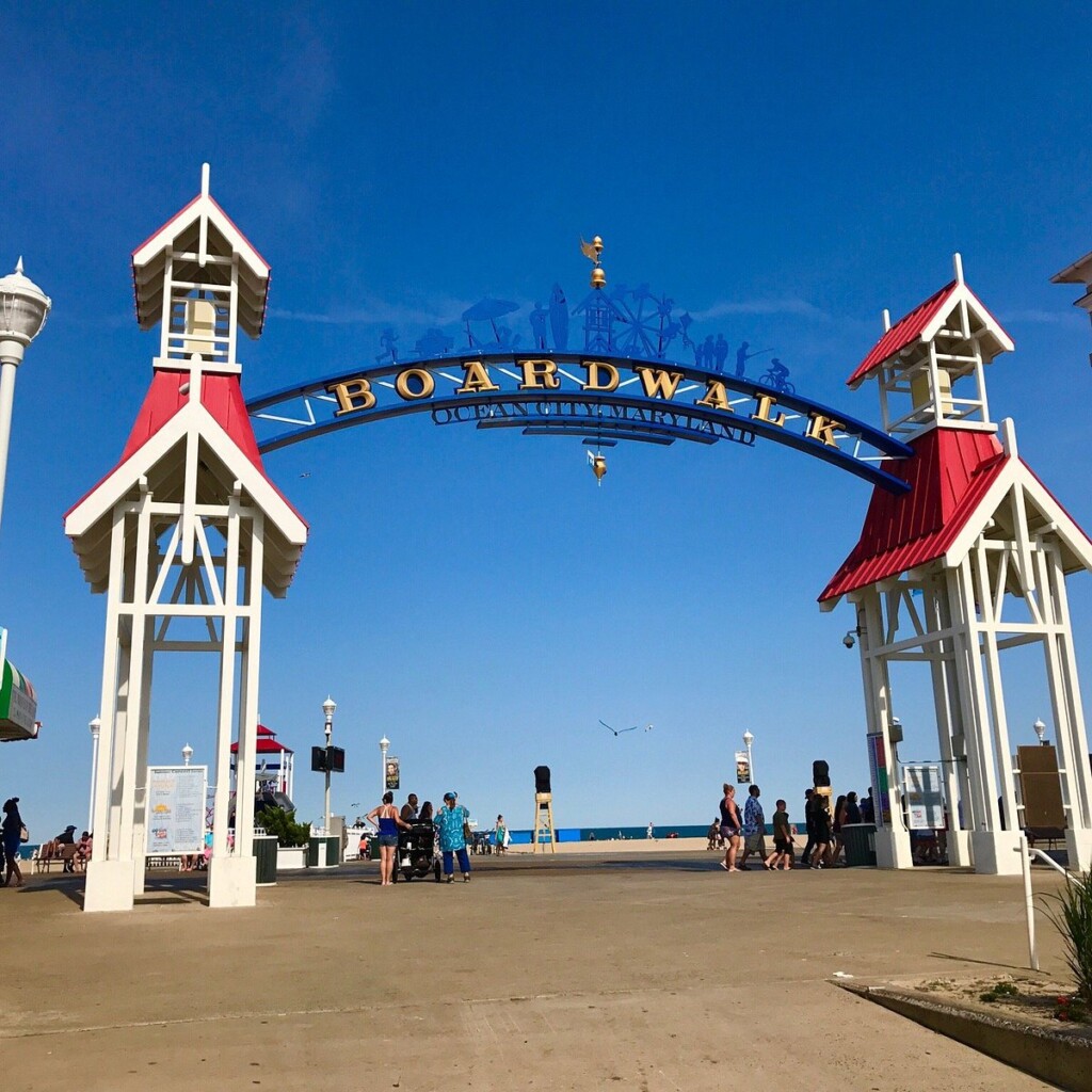 Photo1jpg