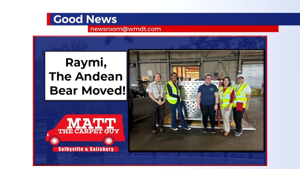 Good News Late 9.4.24