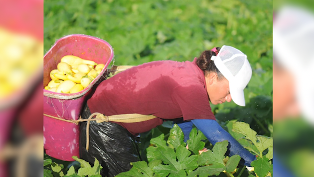 Migrantworker