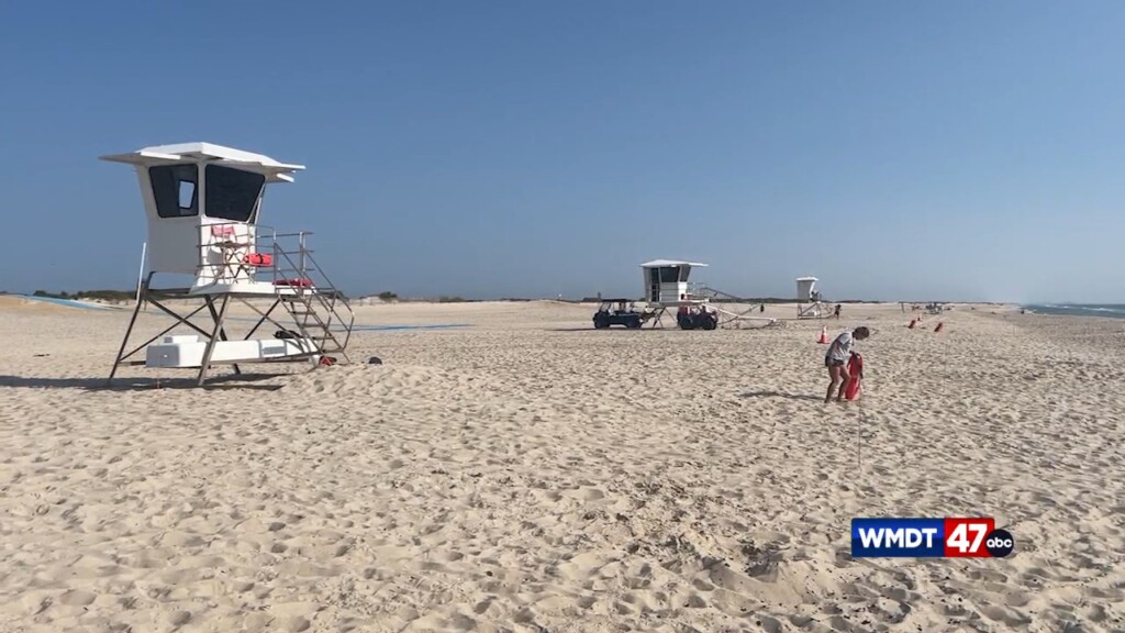 Discover Delmarva: Assateague Island National Seashore