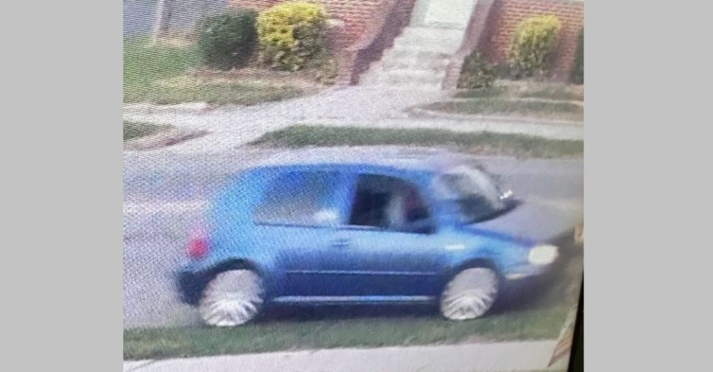 Seaford Hit and Run