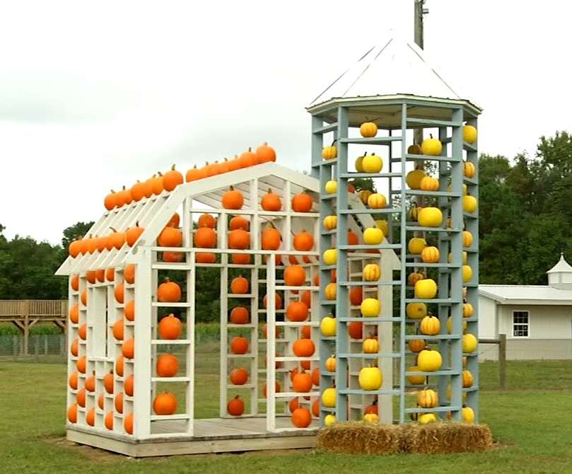 Jzfarms