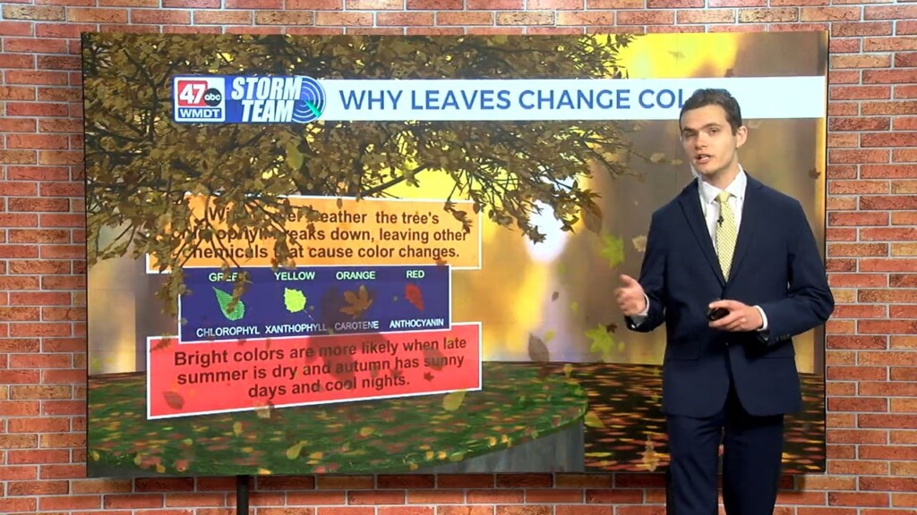 Wxtidbits1010