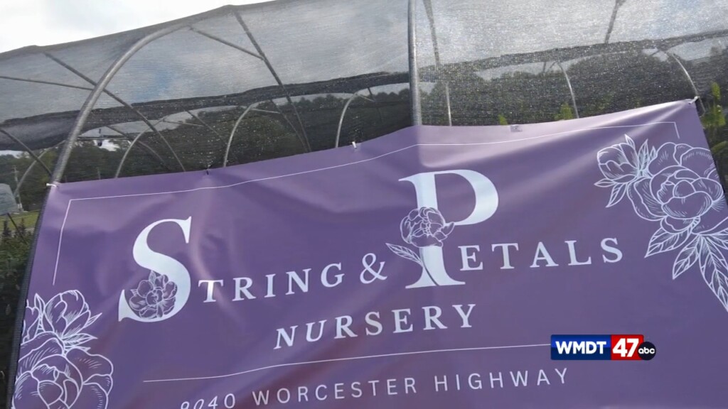 Plant Nursery Soft Opening
