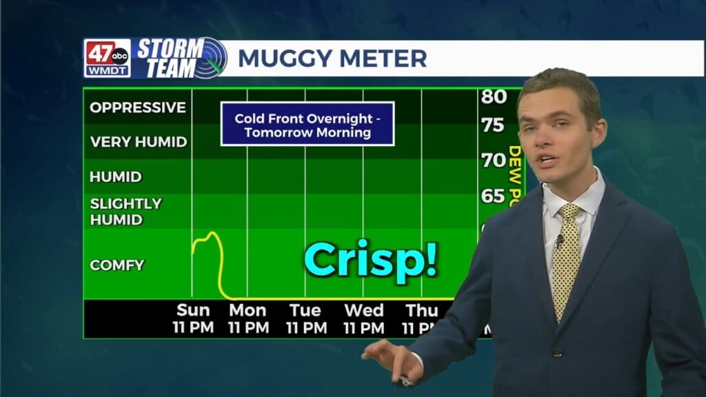 Overnight Forecast (10/07/24)
