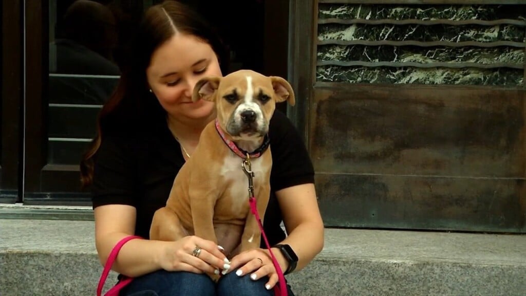 Pets On The Plaza: Meet Andi