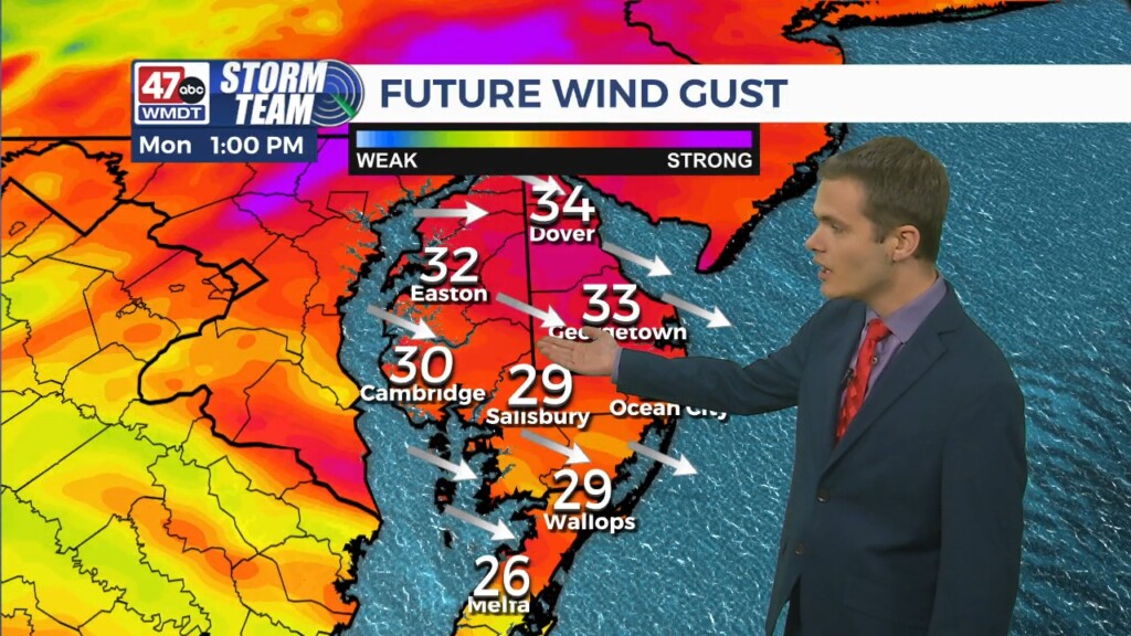 Overnight Forecast (10/14/24)