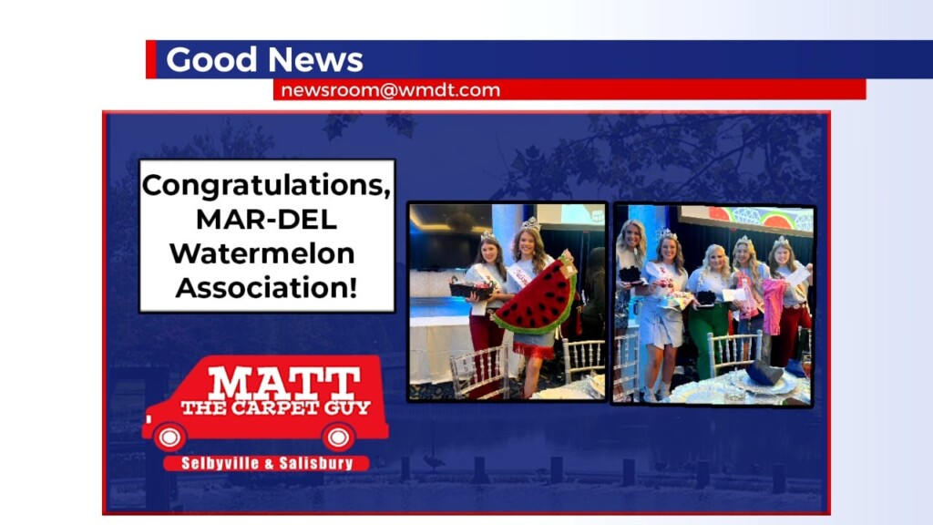 Good News Late 11.10.24