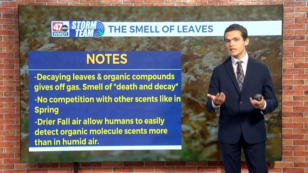Wxtidbits1107