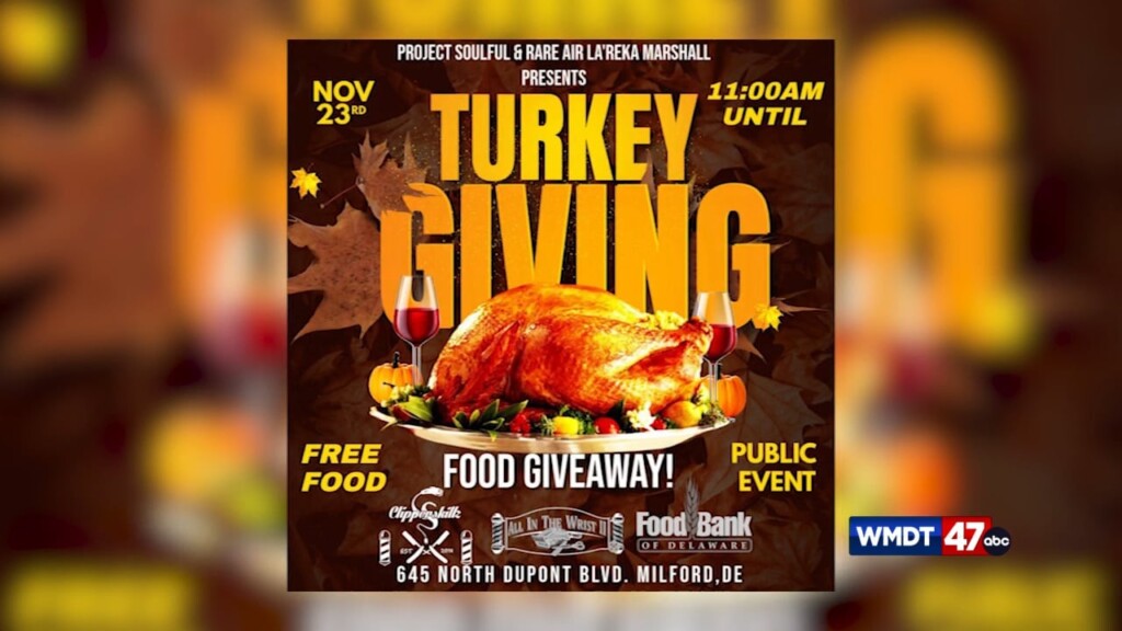 Thanksgiving Food Drive
