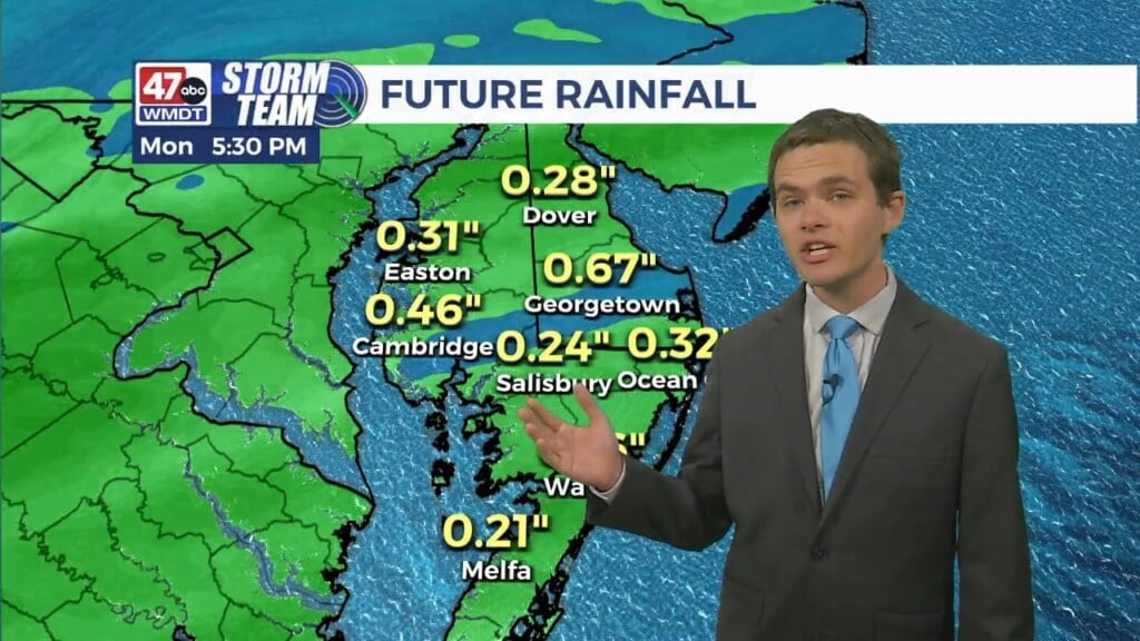 Overnight Forecast (11/10/24)