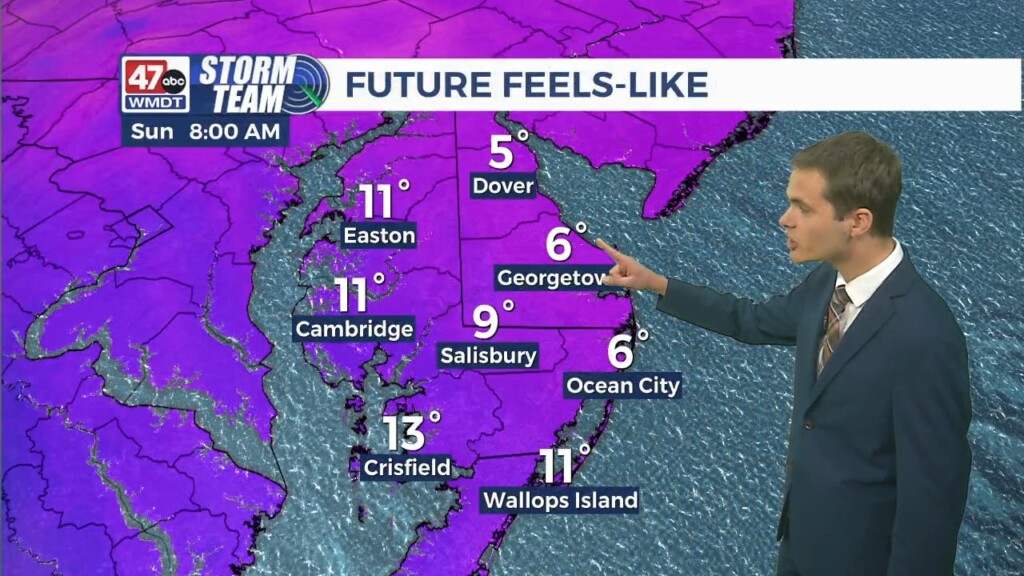 Overnight Forecast (12/23/24)