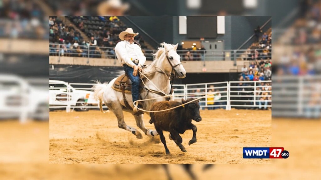 Lone Star Rodeo