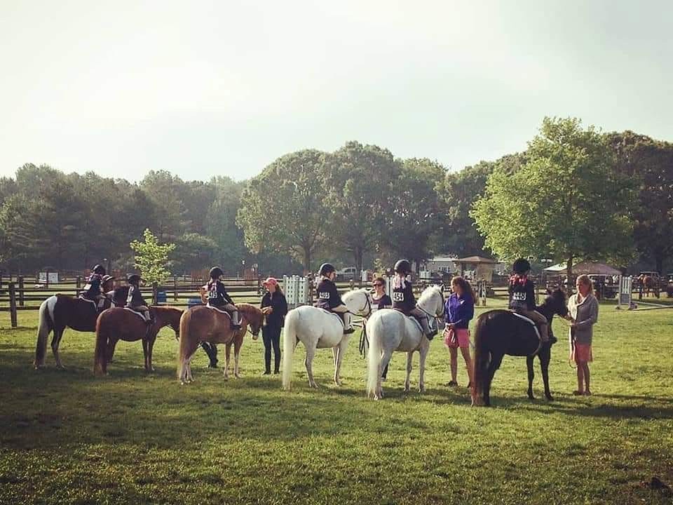 Horses