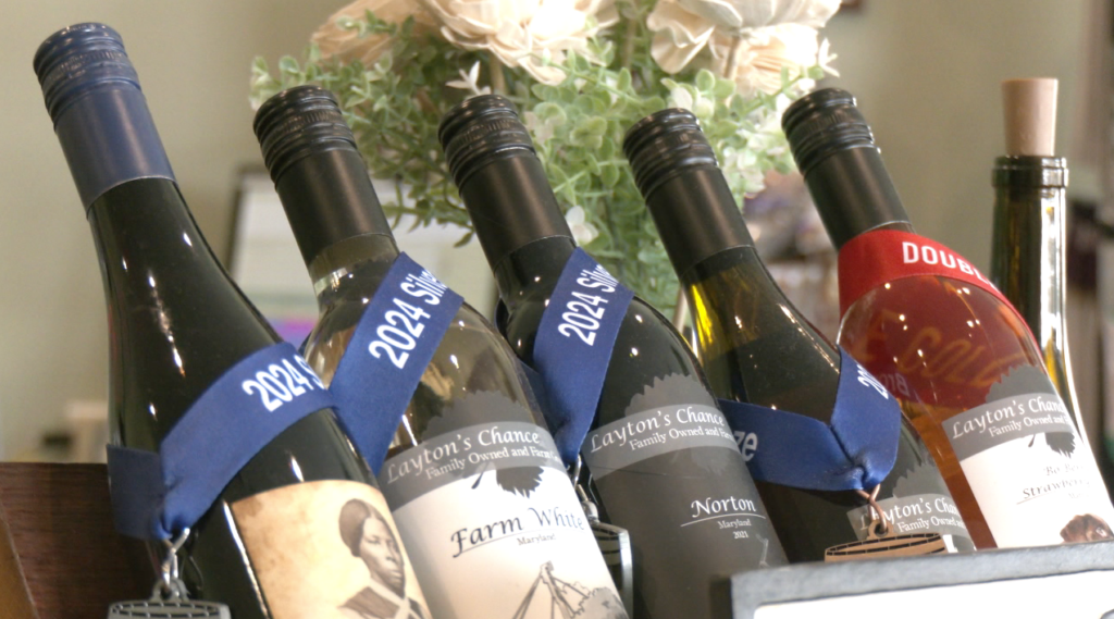 Wine Pic