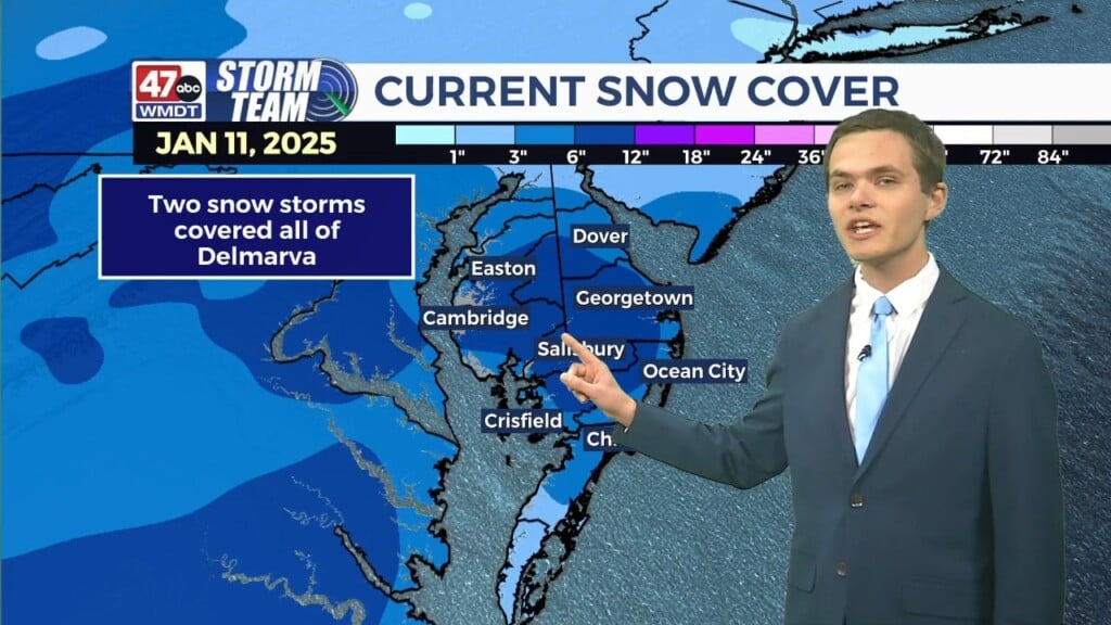 Overnight Forecast (01/12/25)