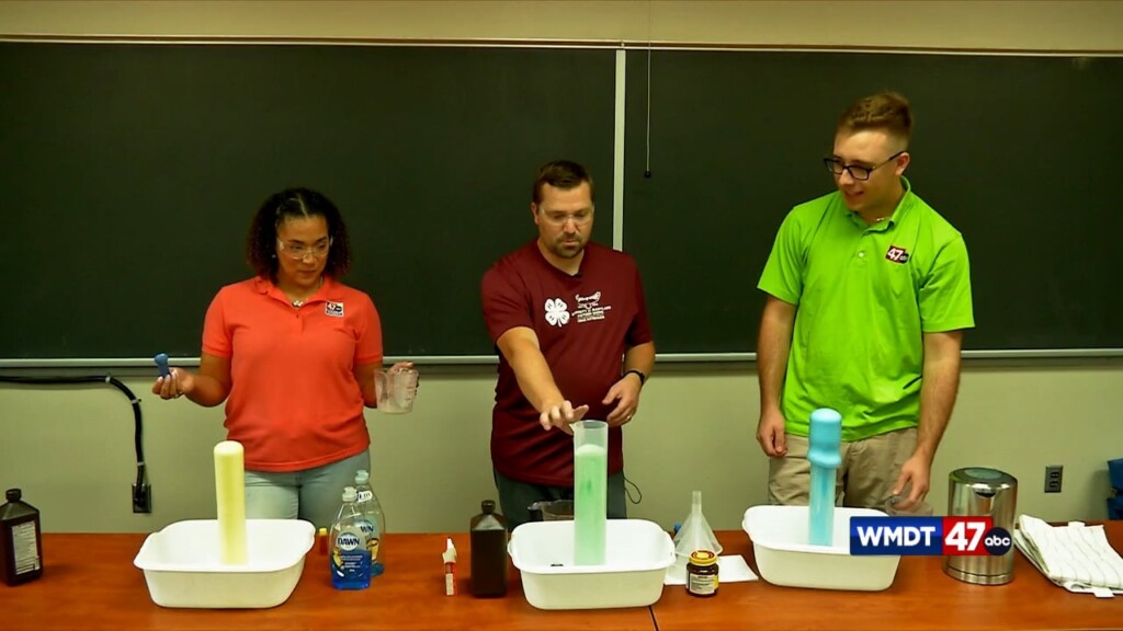 Stem Experiment
