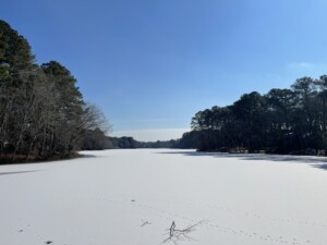 Img 9333