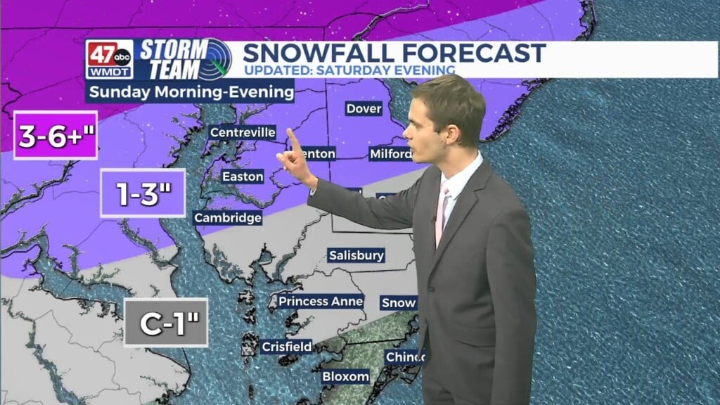 Overnight Forecast (11/19/25)