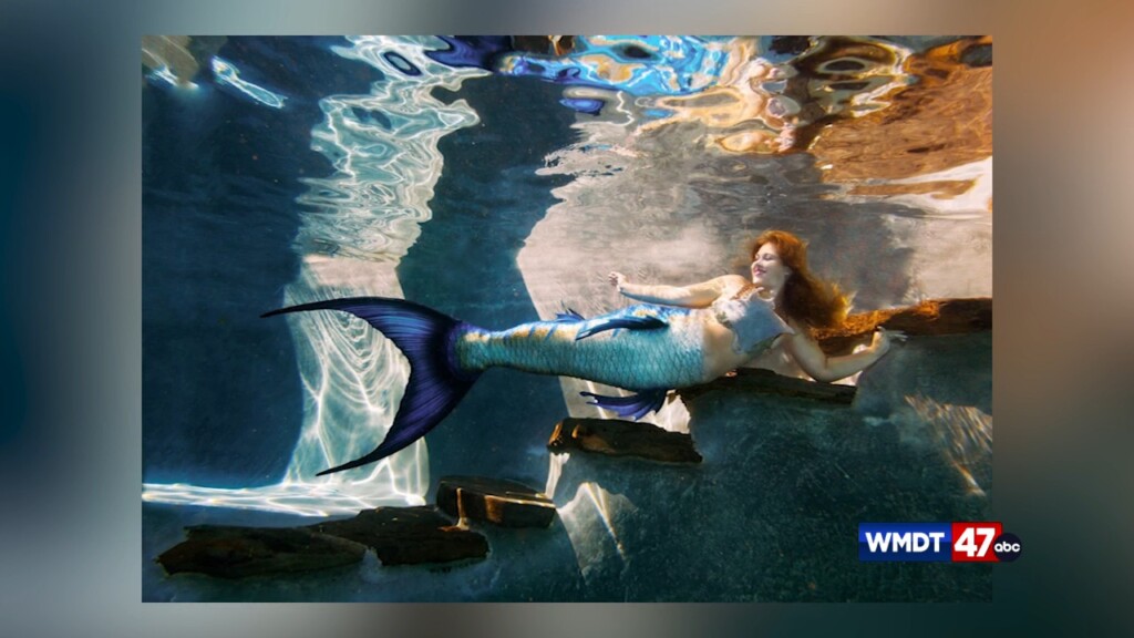 Mermaid Book Author