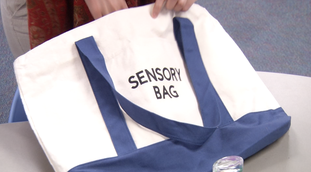 Sensory Bag