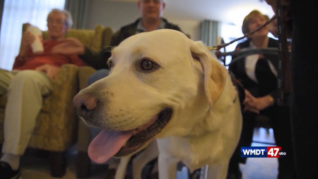 Pet Tips: Heart Disease