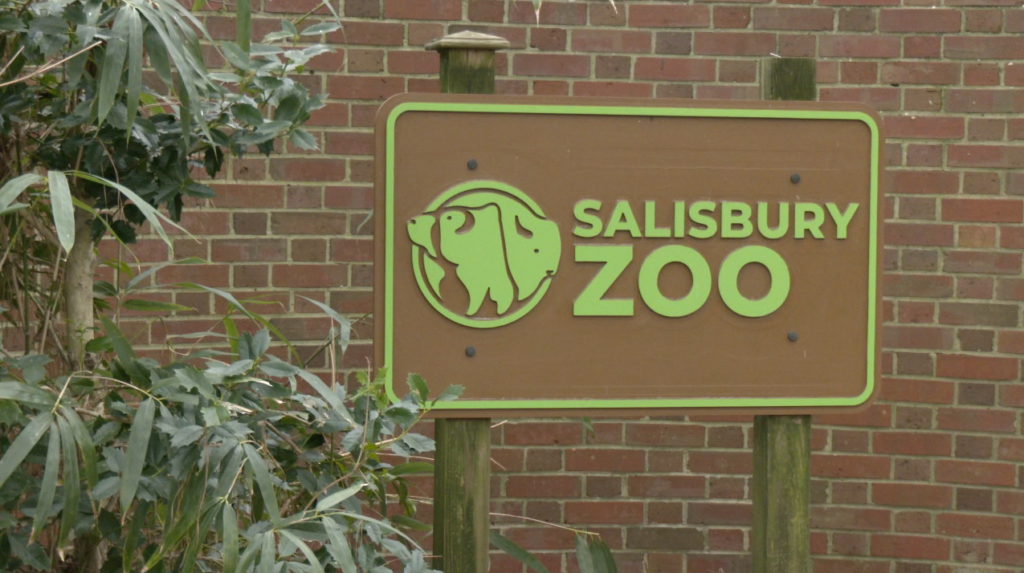 Zoo Pic