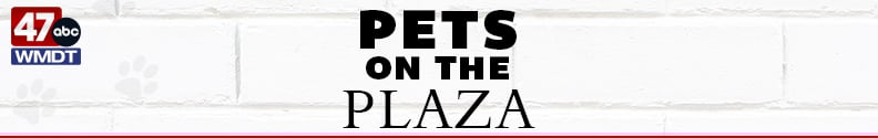 Pets on the Plaza 792x125 no sponsor Pets On The Plaza 792x125 No Sponsor