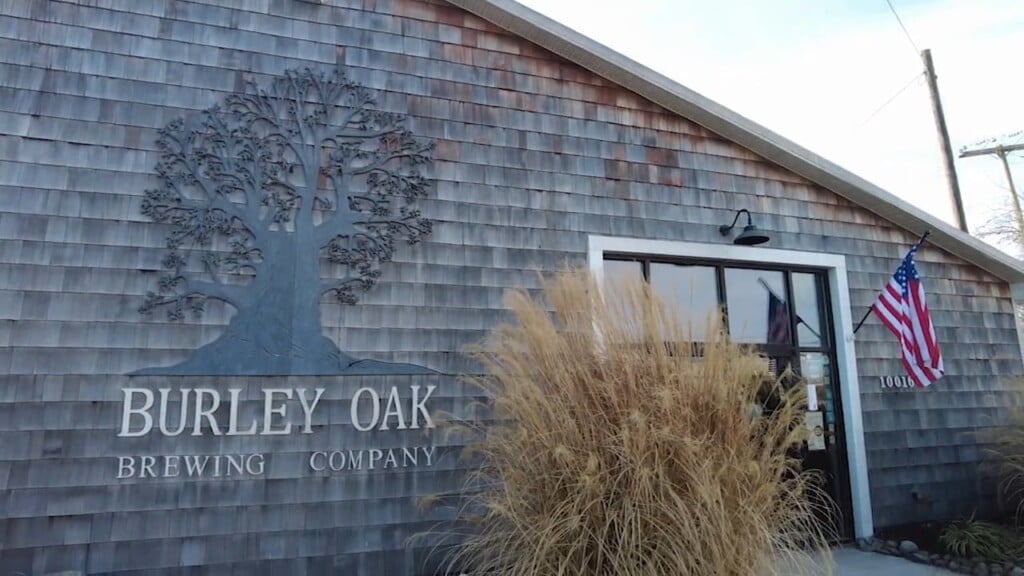 Discover Delmarva: Burley Oak