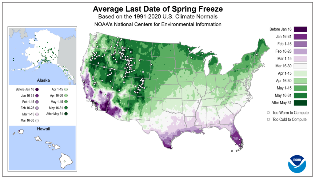 Last Spring Freeze Figure