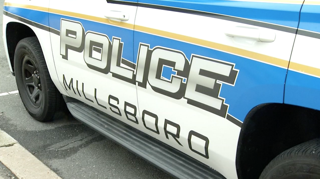 Millsboro Police Pic