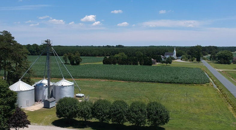 Agriculturepic