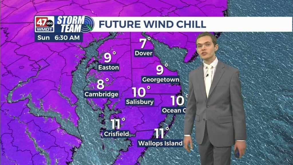 Overnight Forecast (03/02/25)
