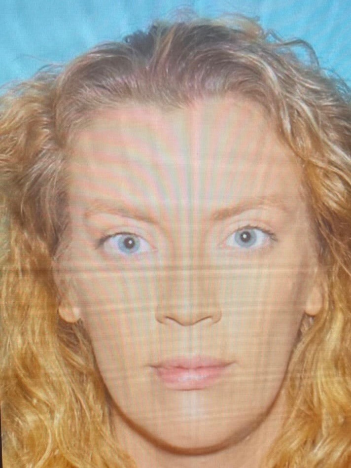 Mug Shot Danielle W Clendaniel