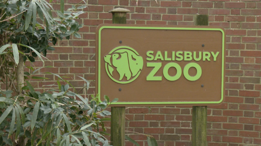 Salisbury Zoo