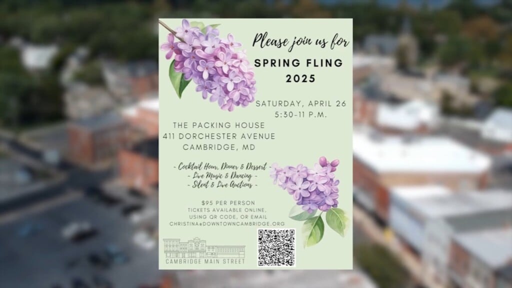 Spring Fling