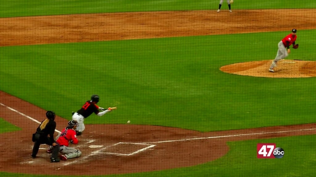 Shorebirds Vs. Woodpeckers 04 10 25