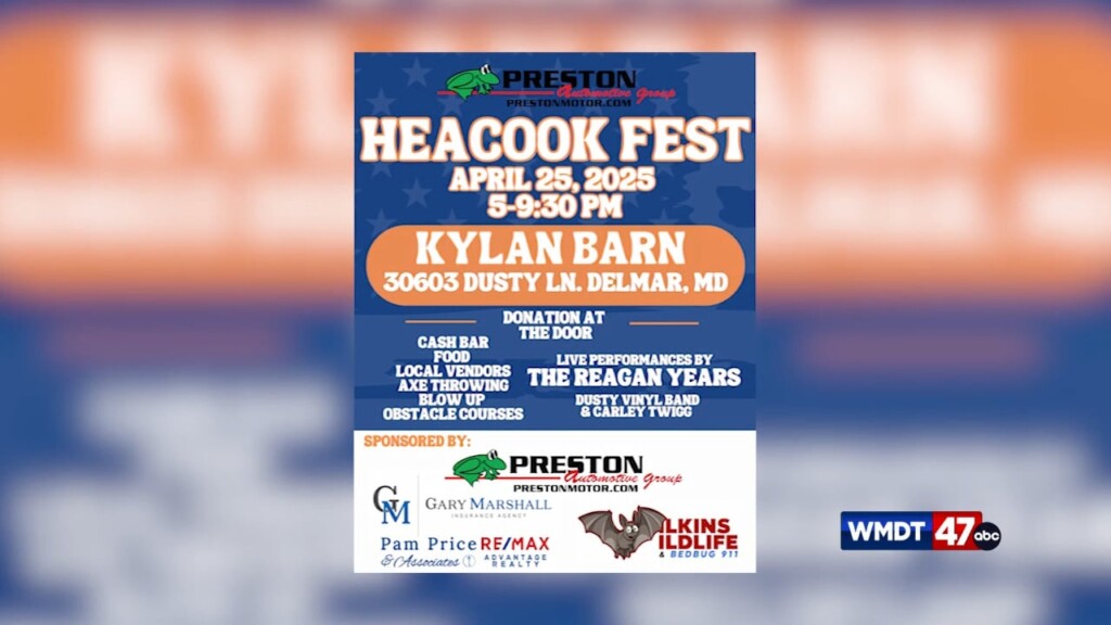 Heacook Fest Intv.