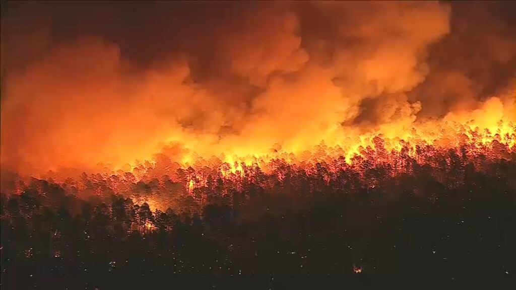 Wildfire