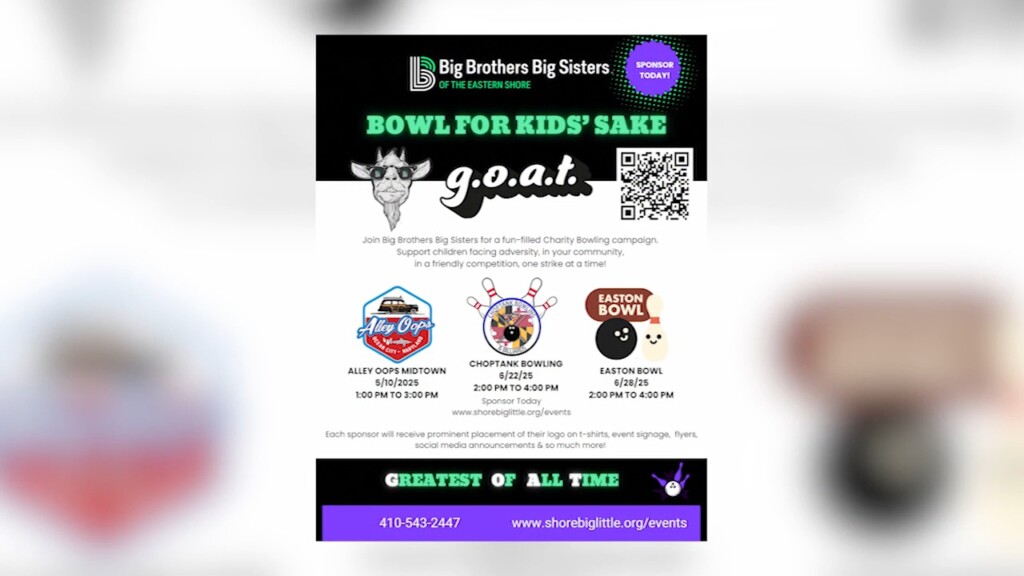 Big Brother Big Sister Event