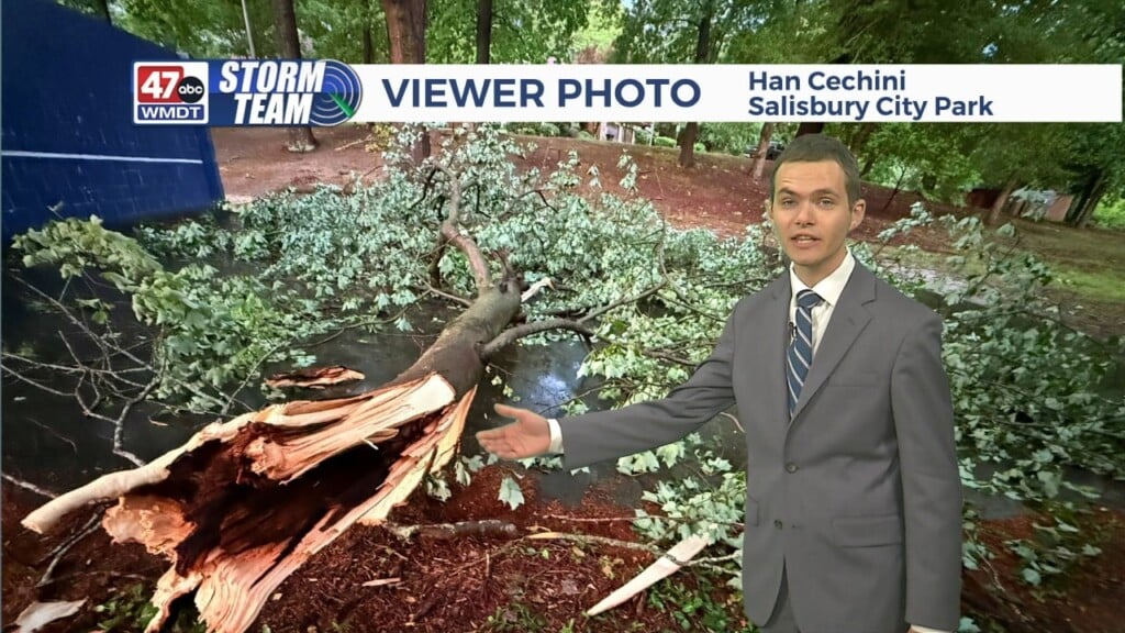 Overnight Forecast (05/17/25)