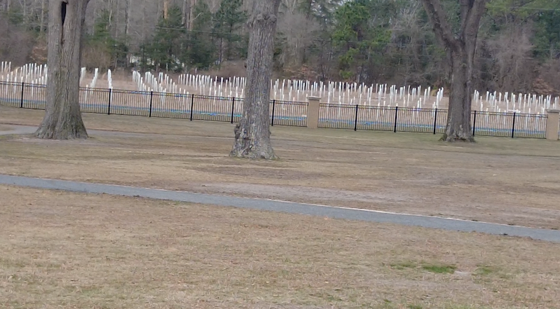 Veteranscementerypic