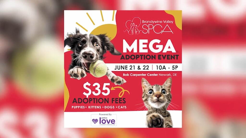 Bvspca