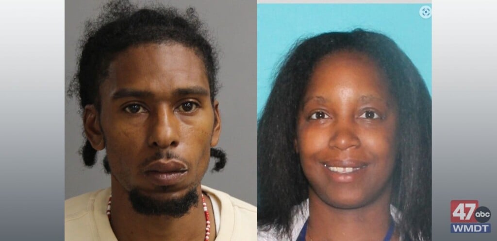 Seaford Drug Arrest